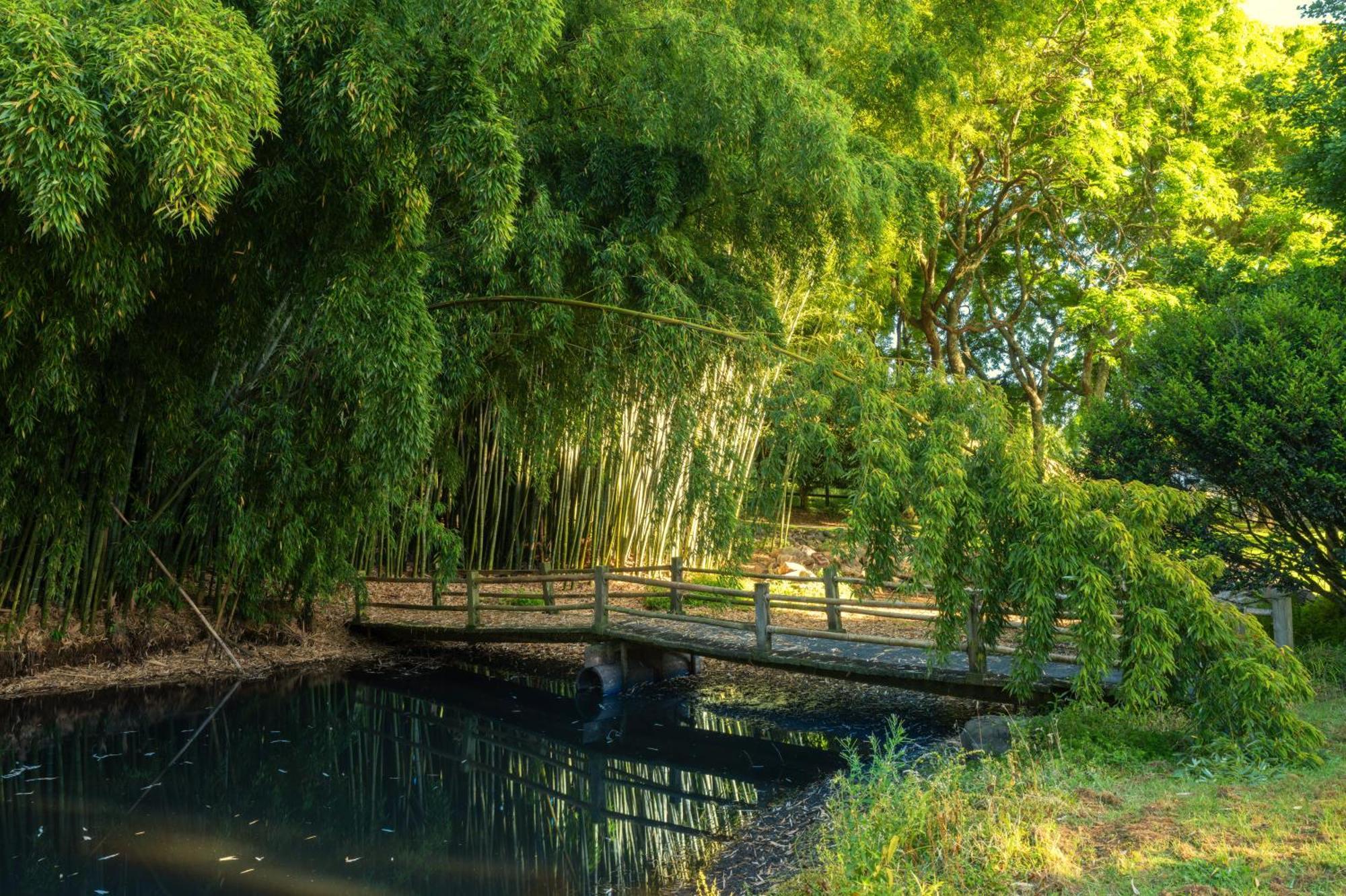 Hana Lodge Rotorua Dış mekan fotoğraf