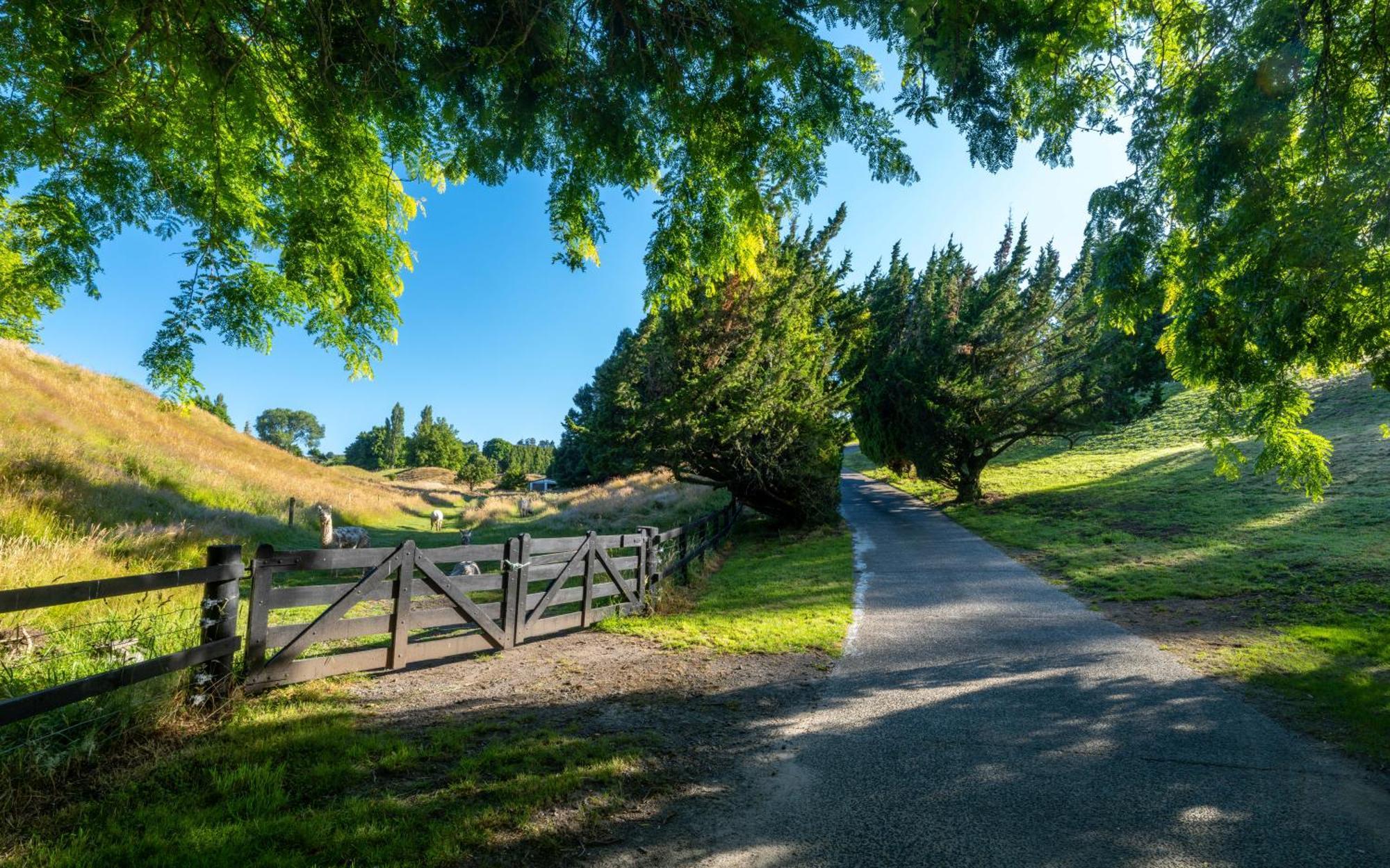 Hana Lodge Rotorua Dış mekan fotoğraf